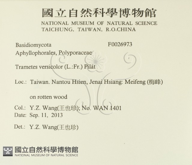 雲芝藏品圖，第2張