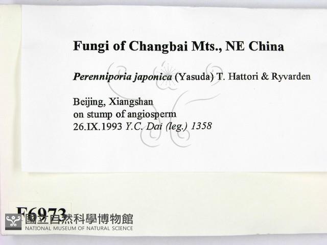 登錄號:F0006973藏品圖，第2張