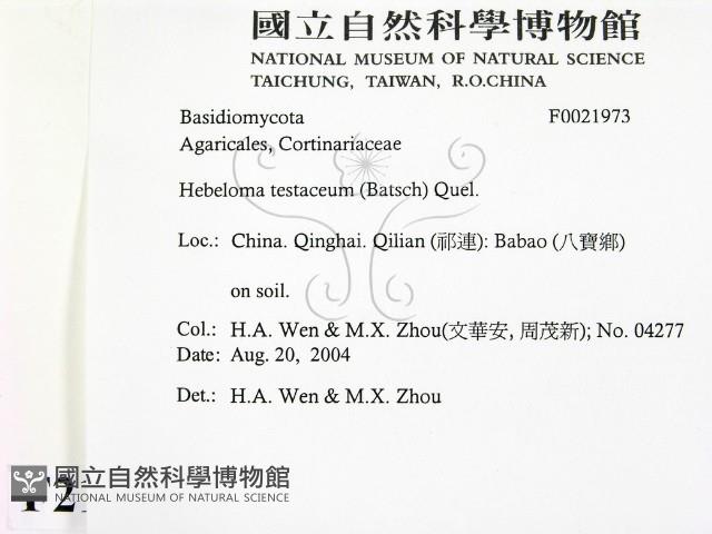 登錄號:F0021973藏品圖，第2張