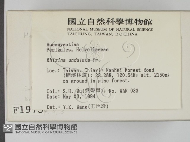 登錄號:F0001973藏品圖，第2張
