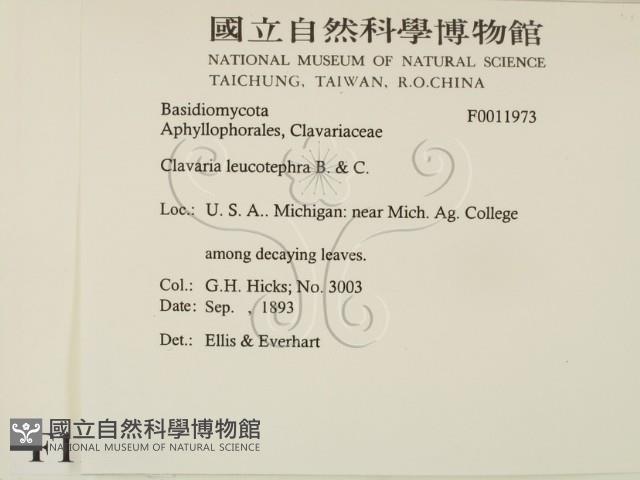 Accession Number:F0011973 Collection Image, Figure 2, Total 3 Figures