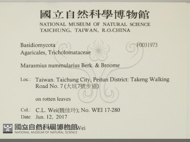 登錄號:F0031973藏品圖，第2張