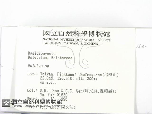 登錄號:F0004973藏品圖，第2張