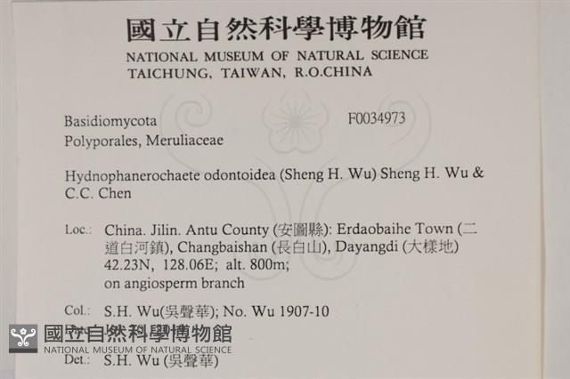 登錄號:F0034973藏品圖，第2張