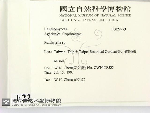 登錄號:F0022973藏品圖，第2張
