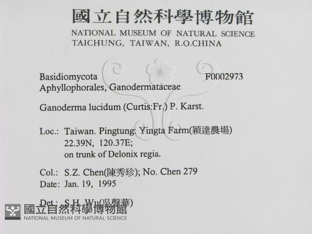 登錄號:F0002973藏品圖，第2張