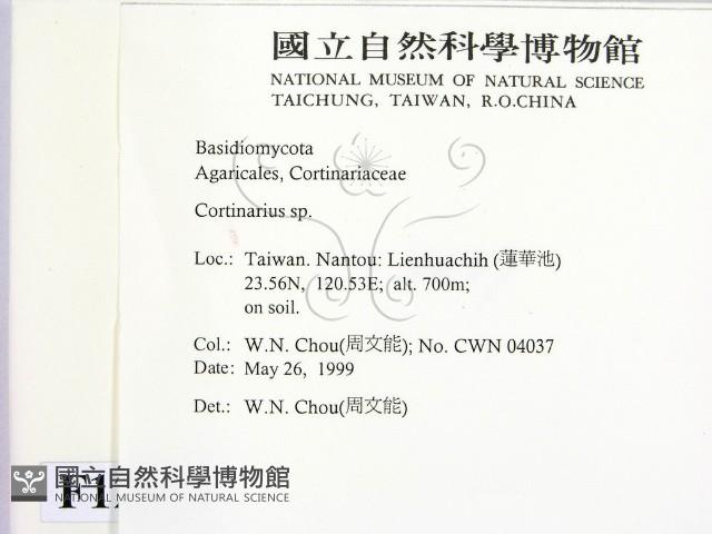 登錄號:F0012973藏品圖，第2張