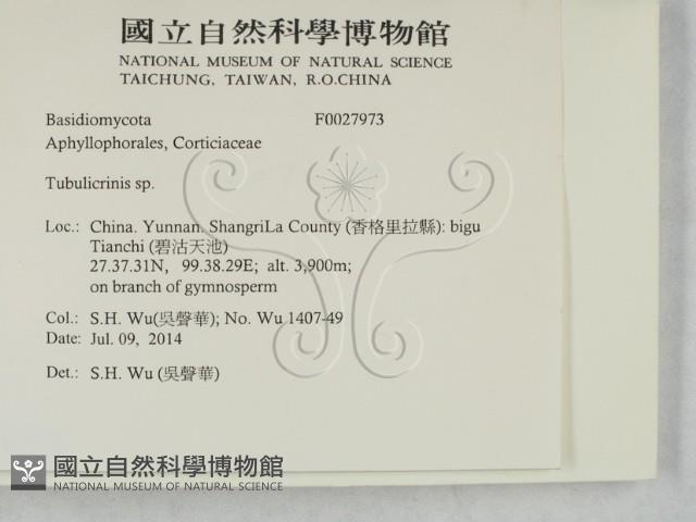 登錄號:F0027973藏品圖，第2張