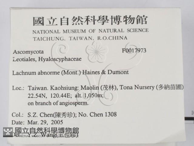登錄號:F0017973藏品圖，第2張