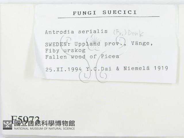 登錄號:F0005973藏品圖，第2張