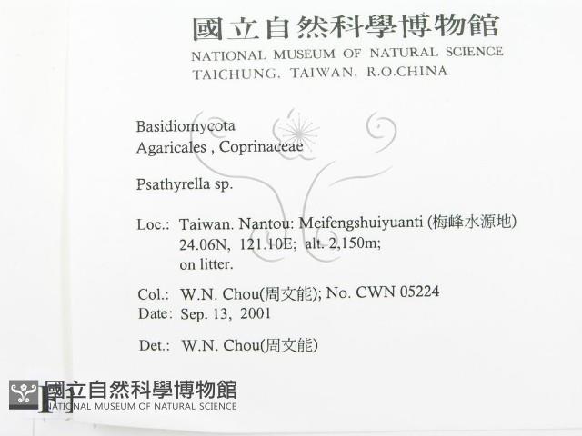 登錄號:F0015973藏品圖，第2張