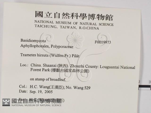 登錄號:F0019973藏品圖，第2張