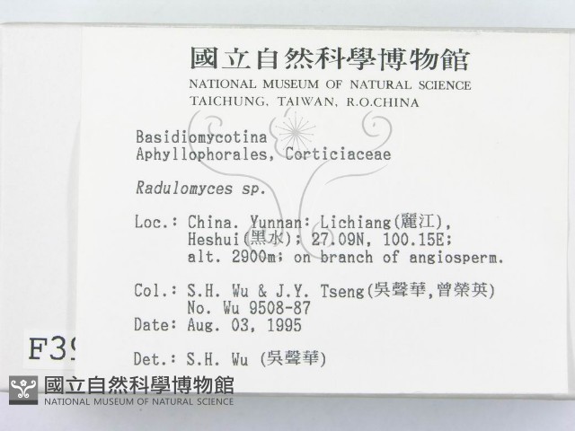 登錄號:F0003973藏品圖，第2張