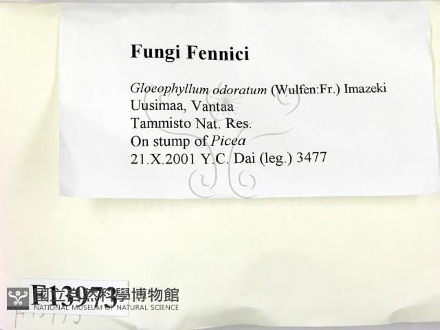 登錄號:F0013973藏品圖，第2張