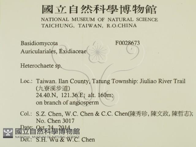 刺皮菌屬藏品圖，第2張