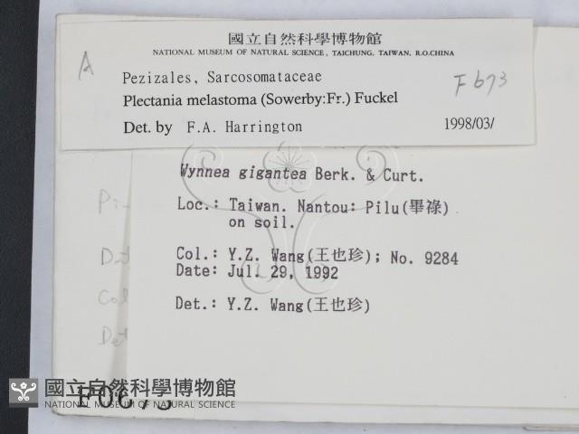 登錄號:F0000673藏品圖，第2張