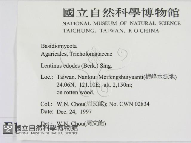 登錄號:F0010673藏品圖，第2張