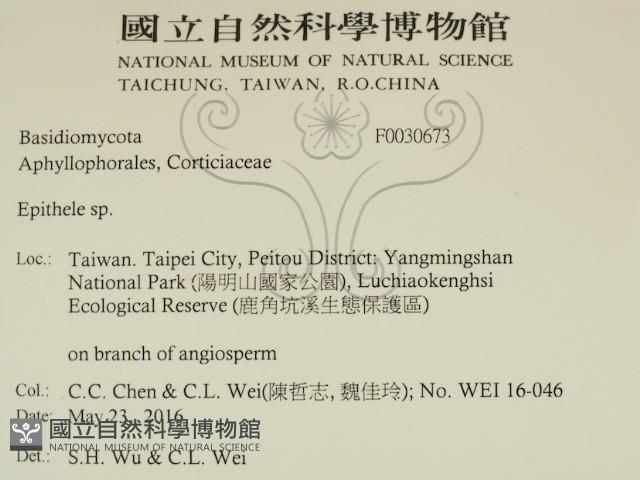 登錄號:F0030673藏品圖，第2張