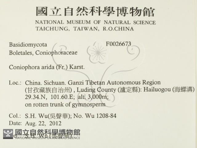 登錄號:F0026673藏品圖，第2張