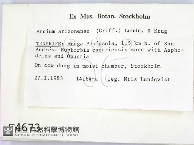 登錄號:F0004673藏品圖，第2張