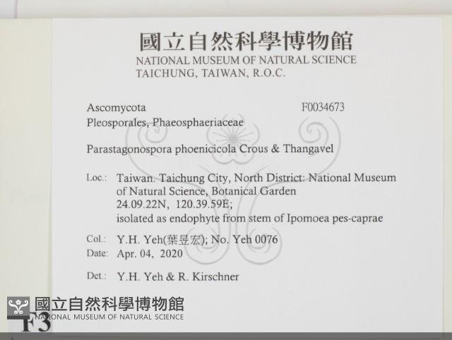 登錄號:F0034673藏品圖，第2張