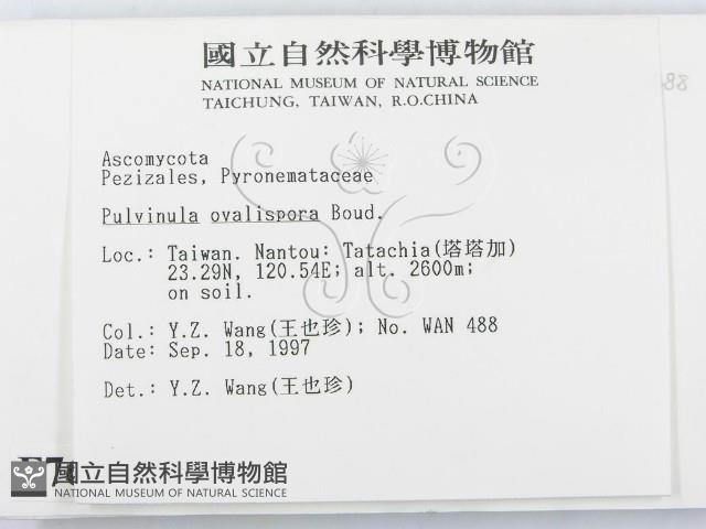 登錄號:F0007673藏品圖，第2張