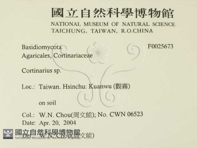 登錄號:F0025673藏品圖，第2張