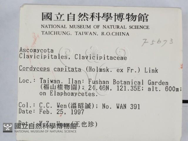 登錄號:F0005673藏品圖，第2張