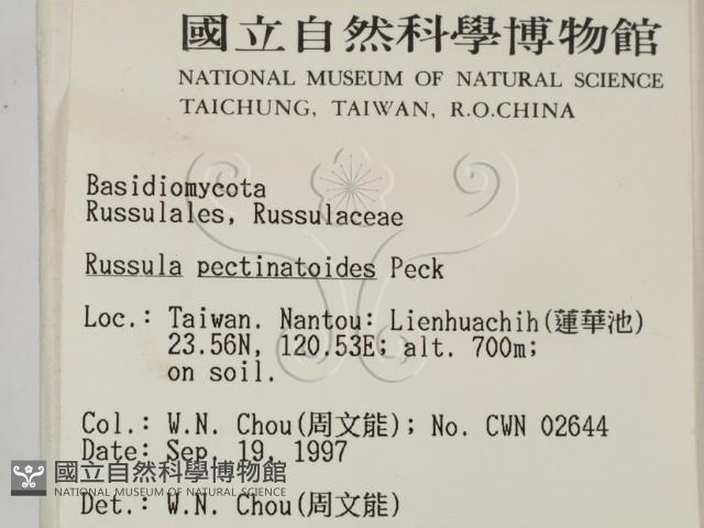 登錄號:F0009673藏品圖，第2張