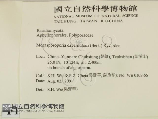 登錄號:F0013673藏品圖，第2張