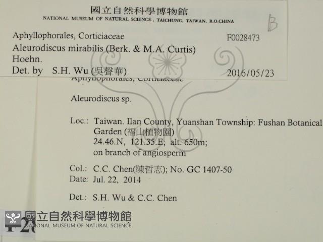 登錄號:F0028473藏品圖，第2張