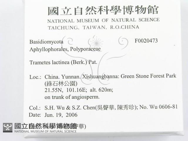 登錄號:F0020473藏品圖，第2張