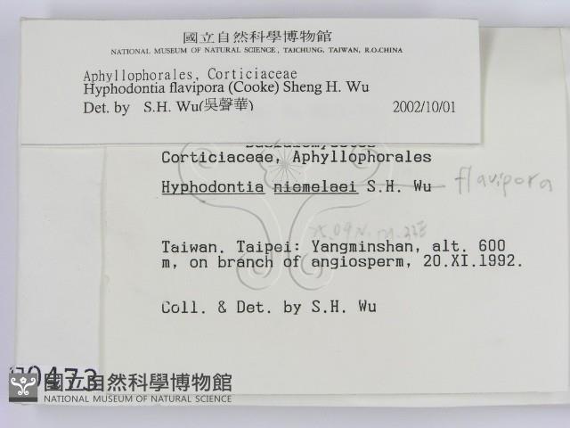 登錄號:F0000473藏品圖，第2張