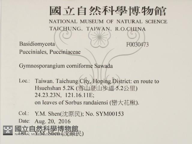 登錄號:F0030473藏品圖，第2張