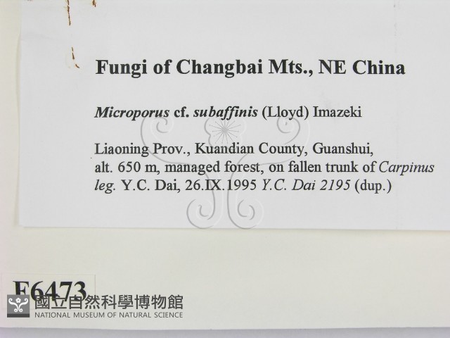 登錄號:F0006473藏品圖，第2張