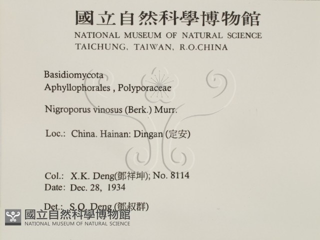 登錄號:F0016473藏品圖，第2張