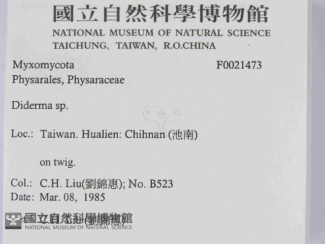 登錄號:F0021473藏品圖，第2張