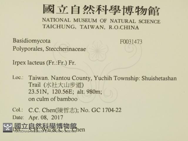 登錄號:F0031473藏品圖，第2張