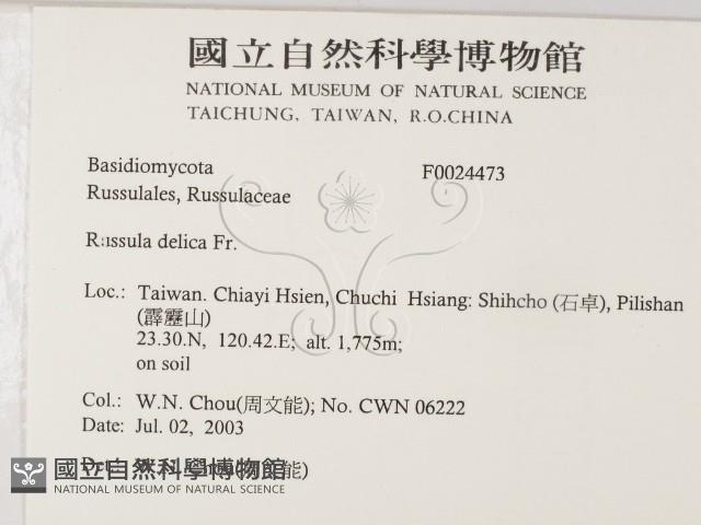登錄號:F0024473藏品圖，第2張