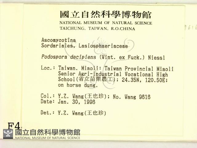 登錄號:F0004473藏品圖，第2張