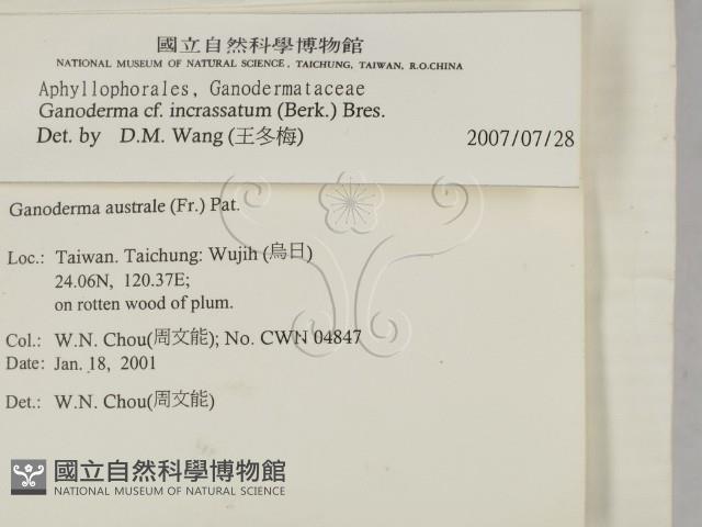 登錄號:F0014473藏品圖，第2張