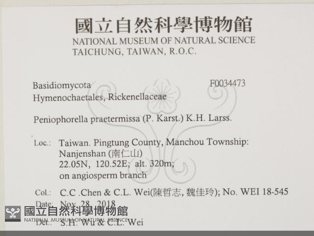 登錄號:F0034473藏品圖，第2張