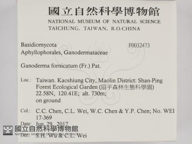 登錄號:F0032473藏品圖，第2張