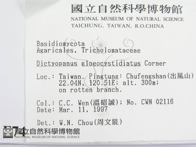 登錄號:F0007473藏品圖，第2張