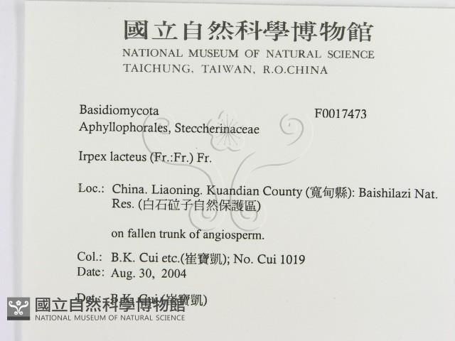 登錄號:F0017473藏品圖，第2張