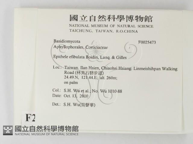 登錄號:F0025473藏品圖，第2張
