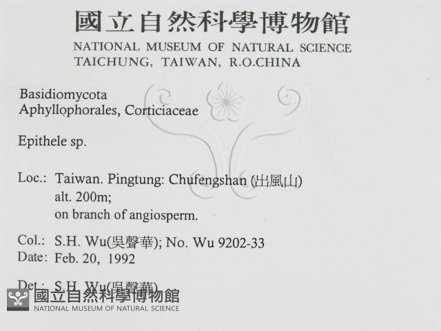 登錄號:F0015473藏品圖，第2張