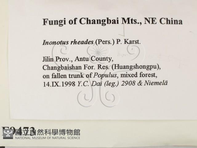 登錄號:F0009473藏品圖，第2張