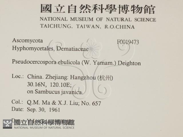 登錄號:F0019473藏品圖，第2張