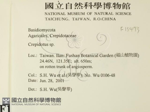 登錄號:F0013473藏品圖，第2張